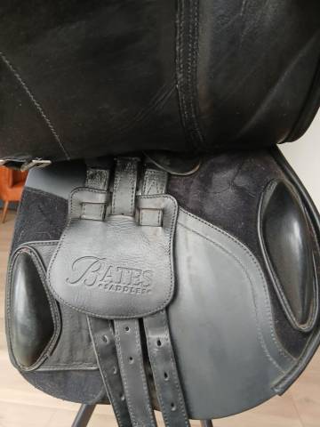 Sella da salto ostacoli Bates  17" - 2017