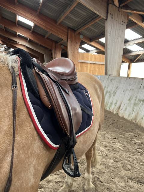 Sella mista Eric Thomas  17" - 2014