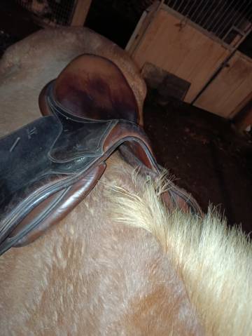 Sella da salto ostacoli Antar&egrave;s Alta&iuml;r 17.5" - 2010