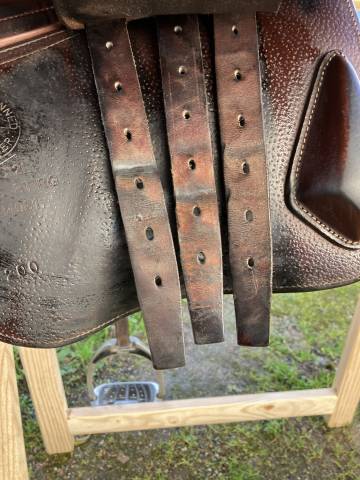 Sella mista CWD  17" - 2021