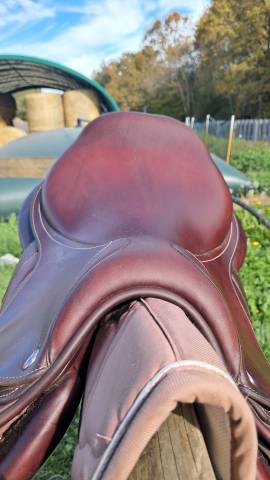 Sella da salto ostacoli CWD  17" - 2017