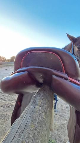 Sella da salto ostacoli CWD  17" - 2017