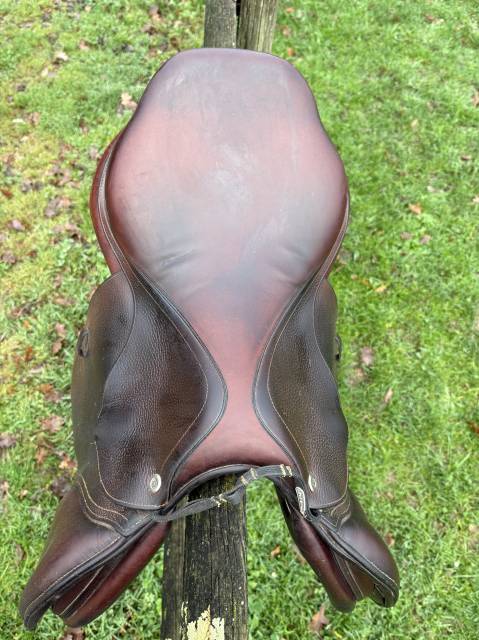 Sella da salto ostacoli CWD SE01 17.5" - 2018