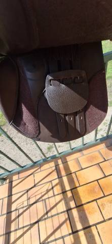 Sella da salto ostacoli  Los Angeles  17.5" - 2025