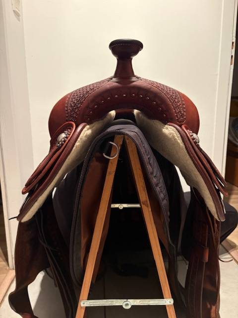 Sella western   16.5" - 2021