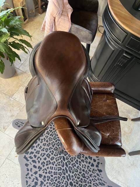 Sella mista Forestier  17" - 2019