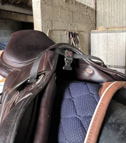 Sella mista GBS  18" - 2021