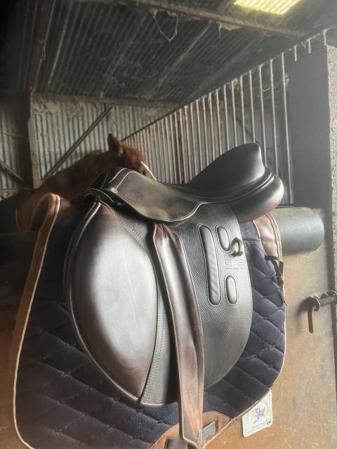 Sella mista GBS  18" - 2021