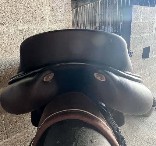 Sella mista GBS  18" - 2021