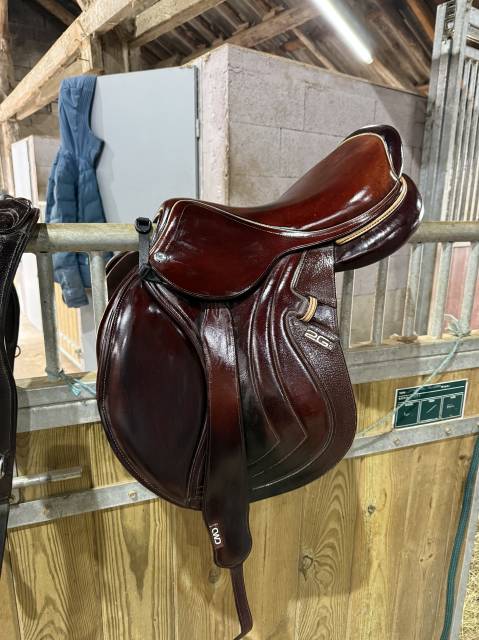 Sella da salto ostacoli CWD  17" - 2022