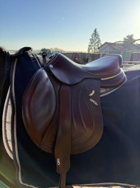 Sella da salto ostacoli CWD  17" - 2022