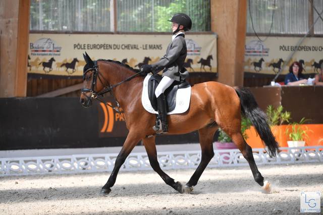 Sella da dressage Aulion Dressage 16.5" - 2019