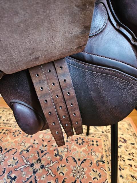 Sella da salto ostacoli CWD  17" - 2015