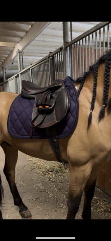 Sella mista Prestige Italia  17" - 2024