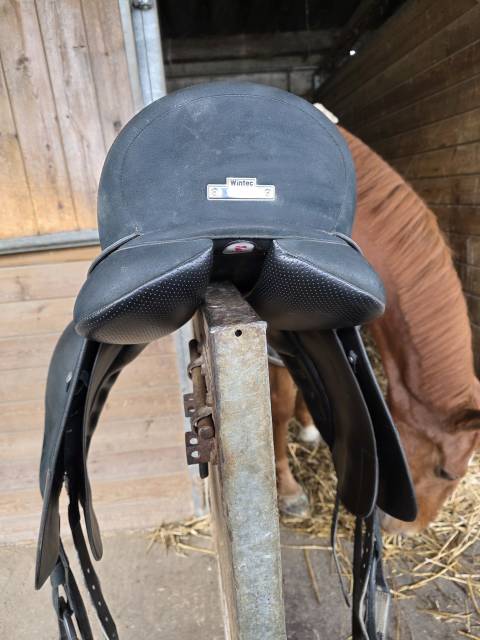 Sella da dressage Wintec  17" - 2023
