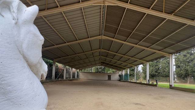 Propriet&agrave; equestre In vendita Bouches-du-Rh&ocirc;ne