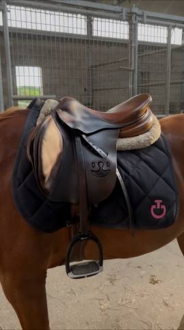 Sella da salto ostacoli Delgrange  17.5" - 2008