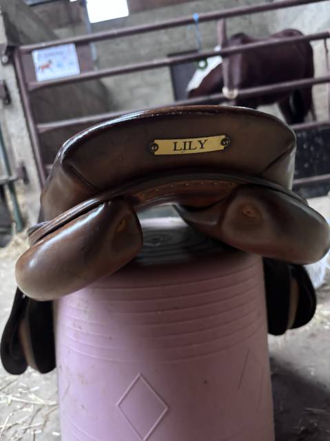 Sella da salto ostacoli Delgrange  17.5" - 2008