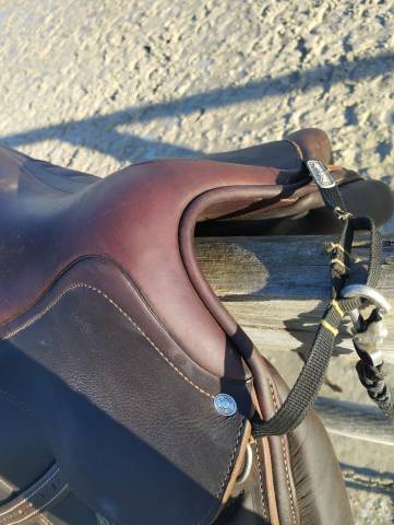 Sella da dressage Antar&egrave;s  17.5" - 2020
