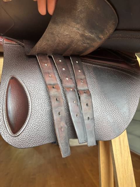 Sella da salto ostacoli CWD  17" - 2022