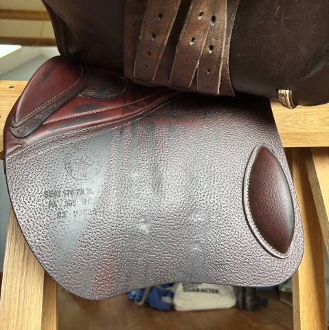 Sella da salto ostacoli CWD  17" - 2022