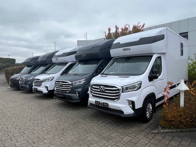 Van per Cavalli Altra marca MAXUS 0 Nuovo