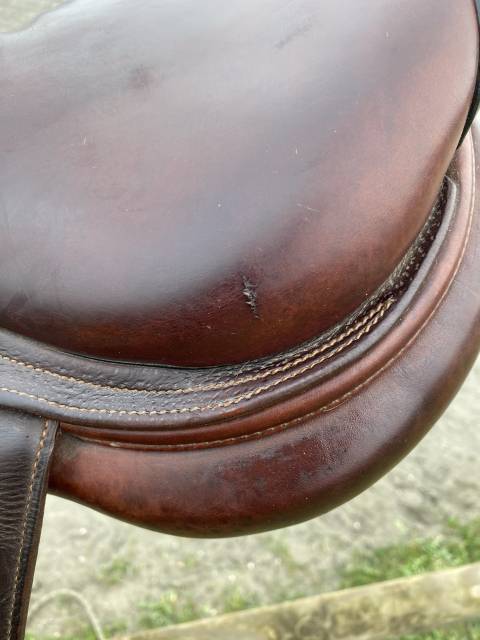 Sella da salto ostacoli CWD  17" - 2016