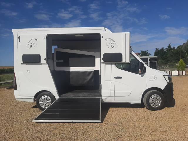Van per Cavalli Renault Master 2020 Occasione
