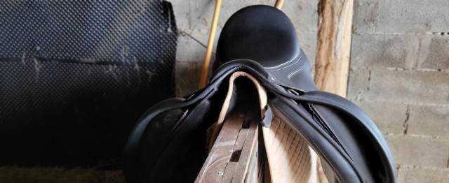 Sella da dressage Wintec  17.5" - 2020