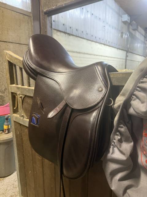 Sella da salto ostacoli Childeric  17.5" - 2018