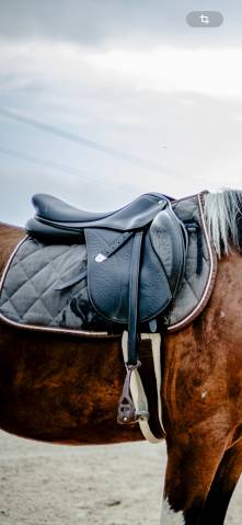 Sella da salto ostacoli Bates  17.5" - 2014