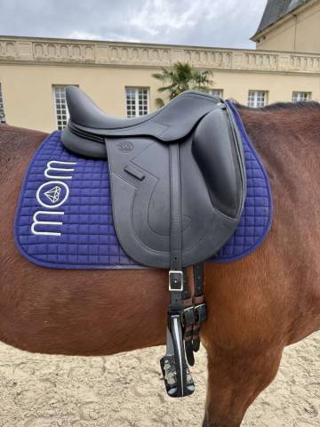 Sella da dressage Antar&egrave;s  17" - 2022