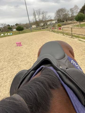 Sella da dressage Antar&egrave;s  17" - 2022