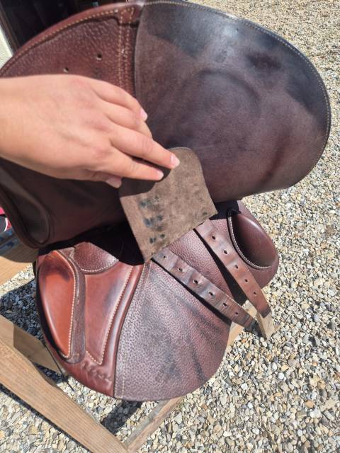 Sella mista CWD  17.5" - 2021