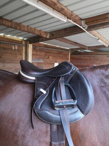 Sella da salto ostacoli Ikonic Jumping light 16.5" - 2023