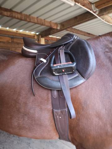 Sella da salto ostacoli Ikonic Jumping light 16.5" - 2023