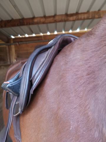 Sella da salto ostacoli Ikonic Jumping light 16.5" - 2023