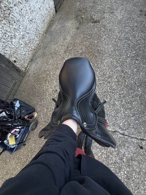 Sella mista Fleur de Lys Junior 16.5" - 2010