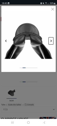 Sella mista  Selle Claridge House Soft Seat  17.5" - 2018