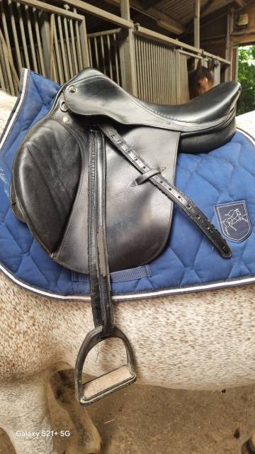 Sella da salto ostacoli   17" - 2012