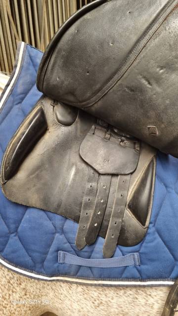 Sella da salto ostacoli   17" - 2012