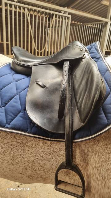 Sella da salto ostacoli   17" - 2012