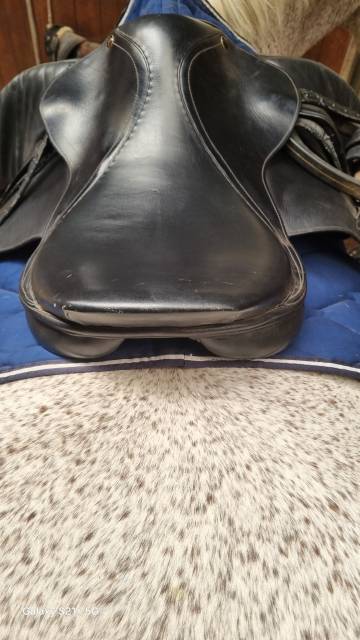 Sella da salto ostacoli   17" - 2012