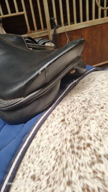 Sella da salto ostacoli   17" - 2012