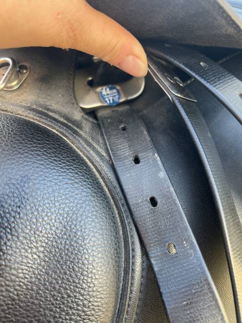 Sella mista Wintec  17.5" - 2020