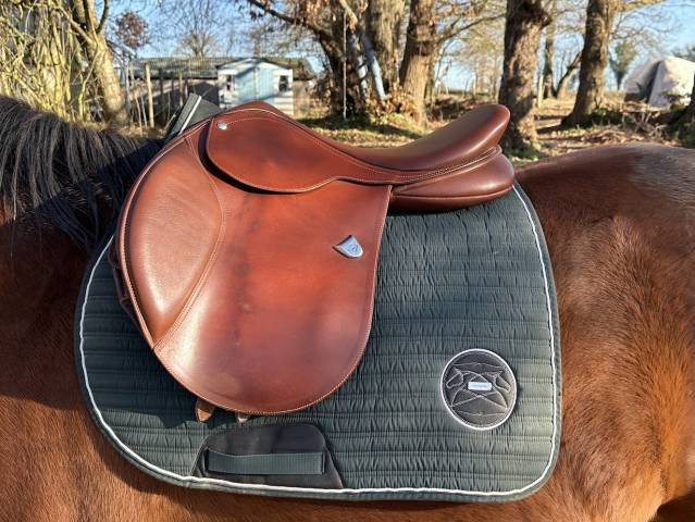 Sella mista Bates  17.5" - 2011