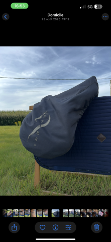 Sella da salto ostacoli Antar&egrave;s  17" - 2015