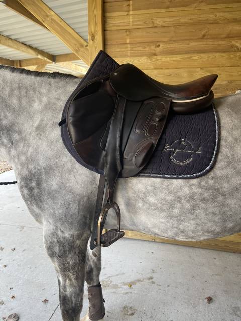 Sella da salto ostacoli GBS  17.5" - 2018