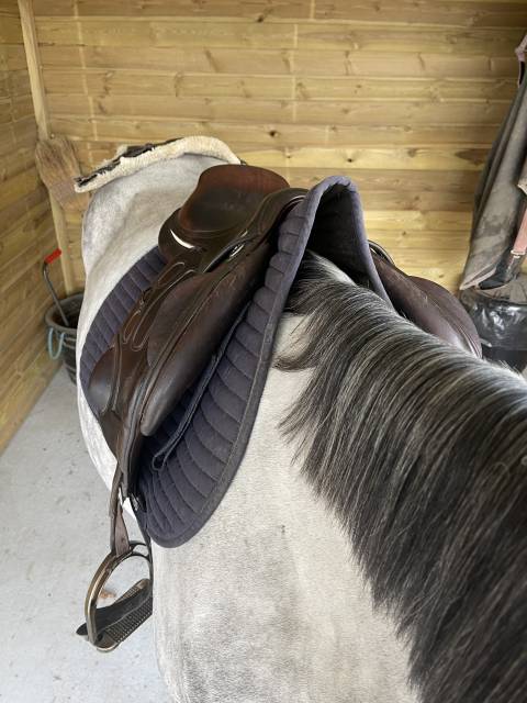 Sella da salto ostacoli GBS  17.5" - 2018