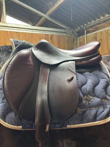 Sella mista CWD  17.5" - 2019